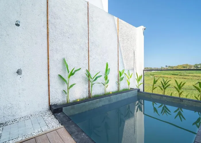 ヴィラ Iwina - 2br Private Pool & Rice Field View チャングー